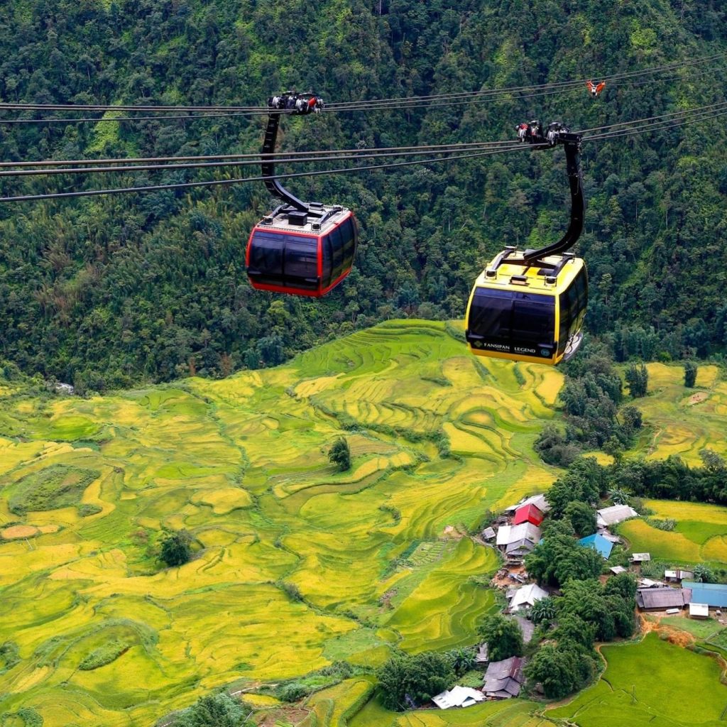 sapa