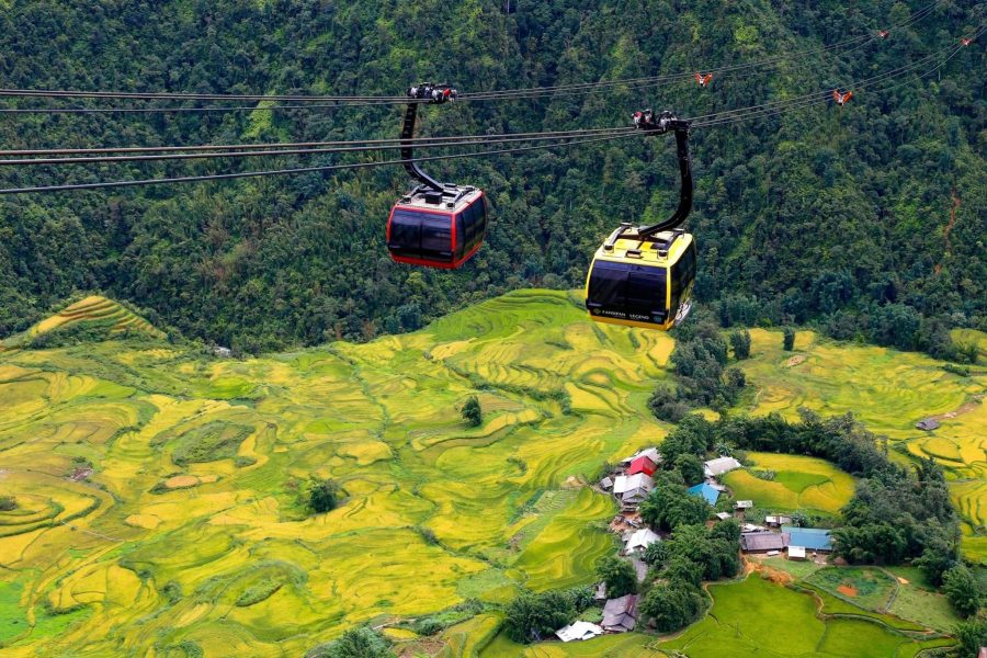 sapa
