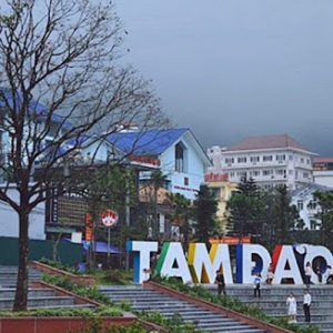 Tam Dao